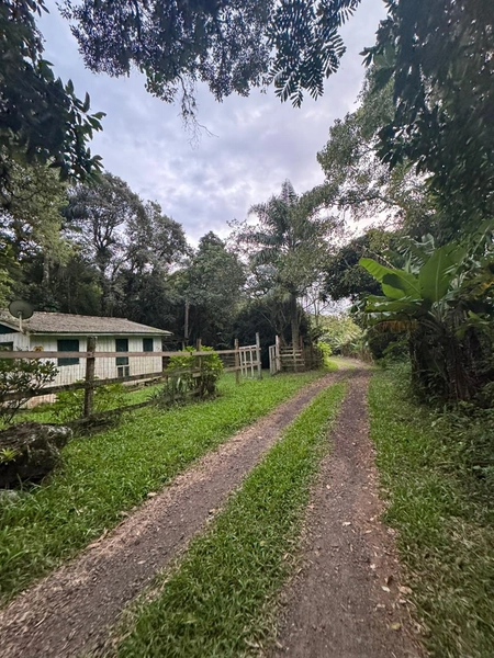 Chácara com 2 Casas em Terra de Areia – Ótima Oportunidade com Negociação Flexível: 7ª foto da galeria de imagens do imóvel