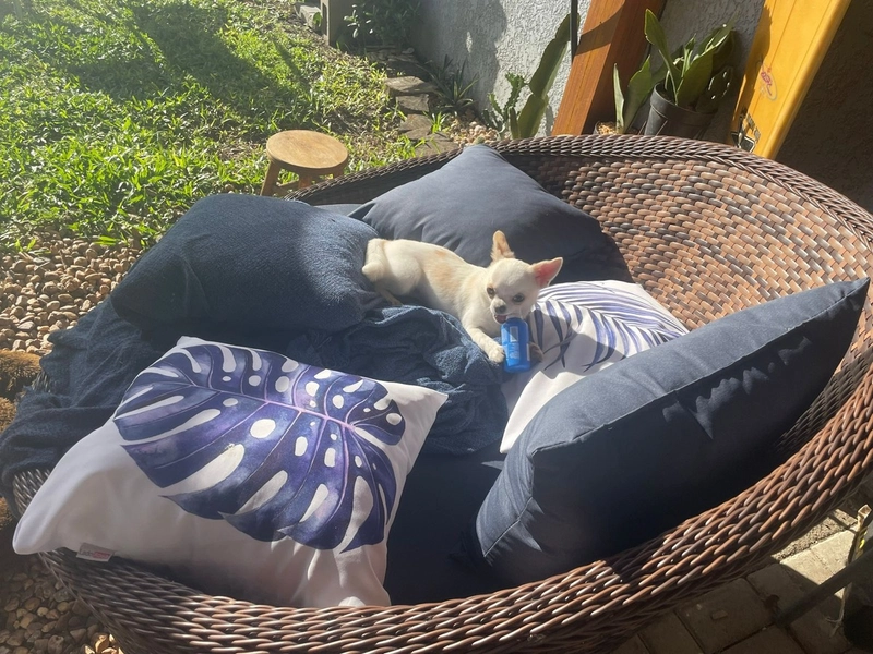 CASA A VENDA, APROVEITE ESSA OPORTUNIDADE!: 12ª foto da galeria de imagens do imóvel