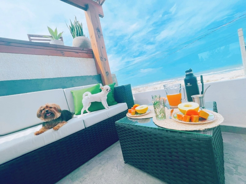 CASA A VENDA, APROVEITE ESSA OPORTUNIDADE!: 19ª foto da galeria de imagens do imóvel