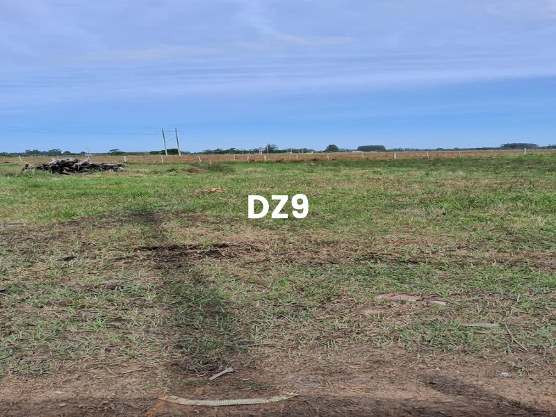 ÁREA PARA SÍTIO, ÓTIMA OPORTUNIDADE!: 7ª foto da galeria de imagens do imóvel