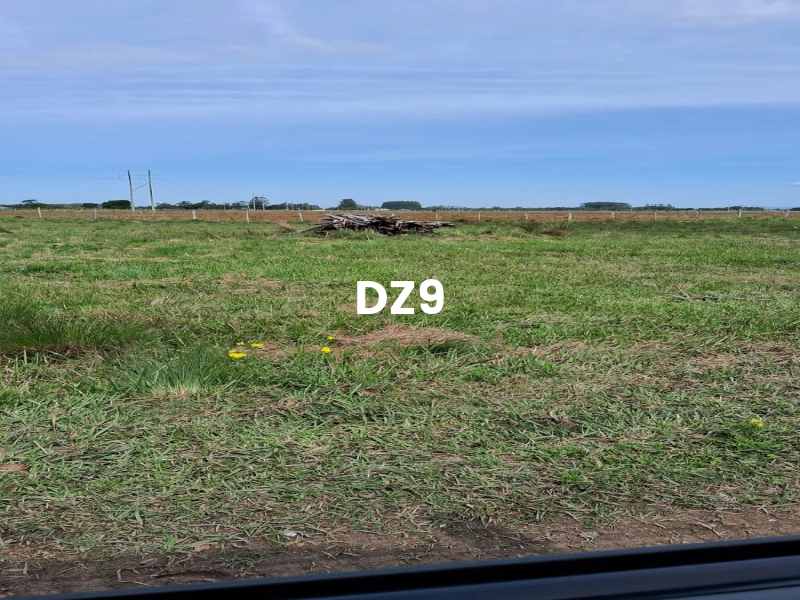 ÁREA PARA SÍTIO, ÓTIMA OPORTUNIDADE!: 8ª foto da galeria de imagens do imóvel