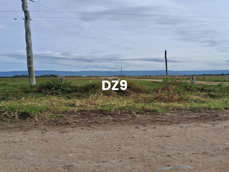 ÁREA PARA SÍTIO, ÓTIMA OPORTUNIDADE!: 1ª foto da galeria de imagens do imóvel