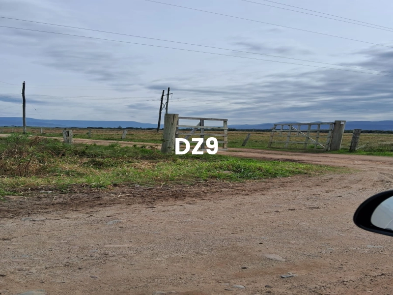 ÁREA PARA SÍTIO, ÓTIMA OPORTUNIDADE!: 3ª foto da galeria de imagens do imóvel