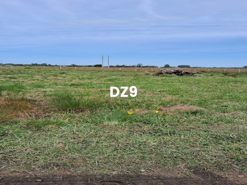 ÁREA PARA SÍTIO, ÓTIMA OPORTUNIDADE!: 6ª foto da galeria de imagens do imóvel