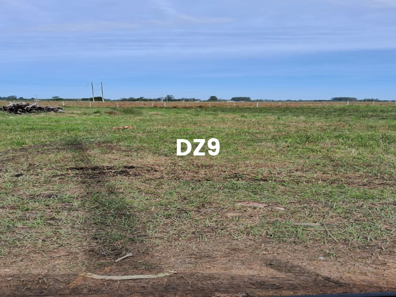 ÁREA PARA SÍTIO, ÓTIMA OPORTUNIDADE!: 4ª foto da galeria de imagens do imóvel