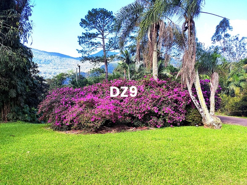 MARAVILHOSA CHÁCARA NA BARRA DO OURO, EM MAQUINÉ: 4ª foto da galeria de imagens do imóvel