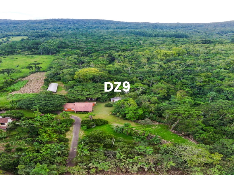 MARAVILHOSA CHÁCARA NA BARRA DO OURO, EM MAQUINÉ: 9ª foto da galeria de imagens do imóvel