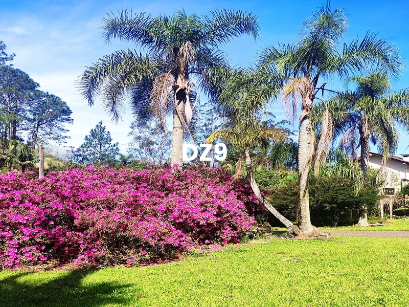 MARAVILHOSA CHÁCARA NA BARRA DO OURO, EM MAQUINÉ: 3ª foto da galeria de imagens do imóvel