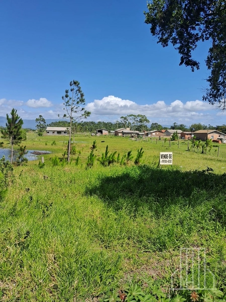 EXCELENTE TERRENO EM ARROIO TEIXEIRA – CAPÃO DA CANOA: 3ª foto da galeria de imagens do imóvel
