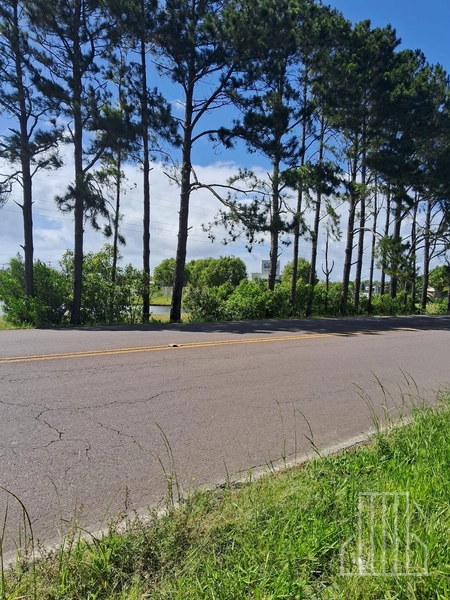 EXCELENTE TERRENO EM ARROIO TEIXEIRA – CAPÃO DA CANOA: 2ª foto da galeria de imagens do imóvel