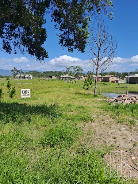 EXCELENTE TERRENO EM ARROIO TEIXEIRA – CAPÃO DA CANOA: 4ª foto da galeria de imagens do imóvel
