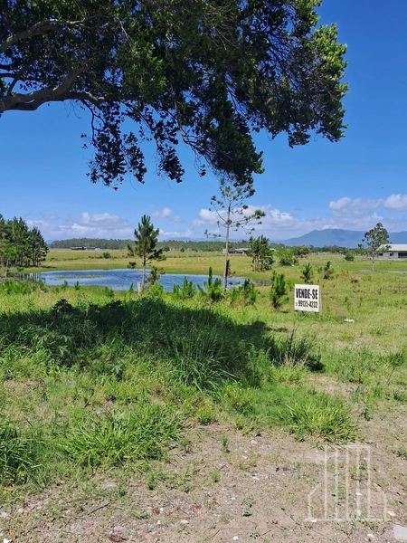 EXCELENTE TERRENO EM ARROIO TEIXEIRA – CAPÃO DA CANOA: 6ª foto da galeria de imagens do imóvel