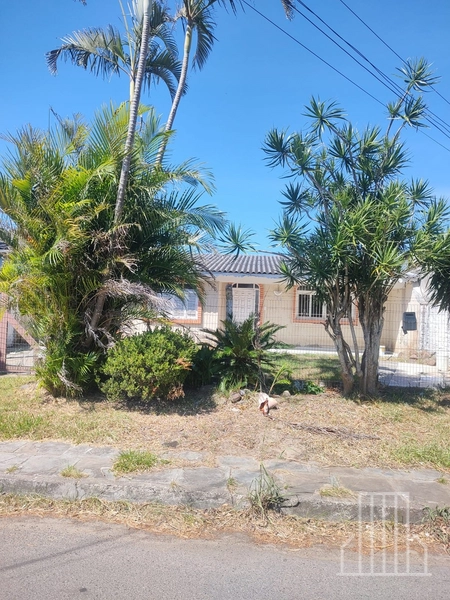Terreno Amplo em Área Valorizada com Casa Térrea!: 1ª foto da galeria de imagens do imóvel