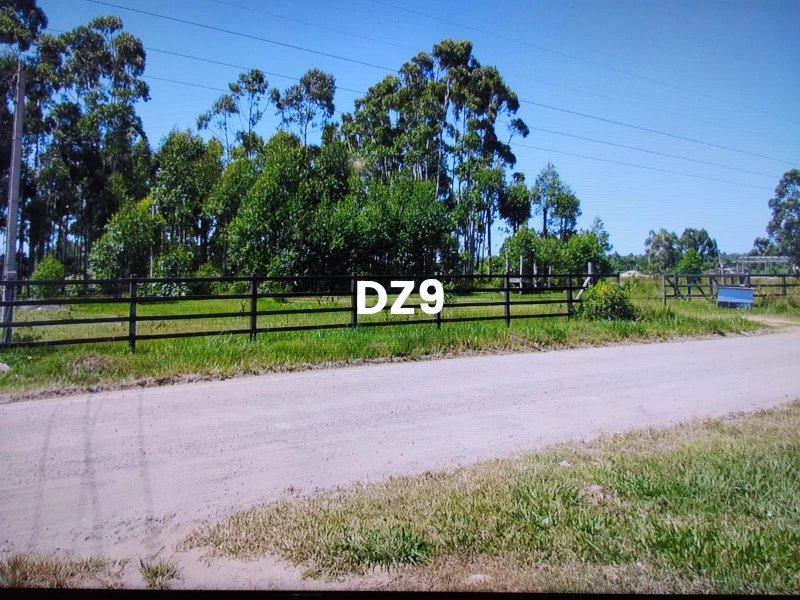 OPORTUNIDADE ÚNICA: CHÁCARA LINDA!: 4ª foto da galeria de imagens do imóvel