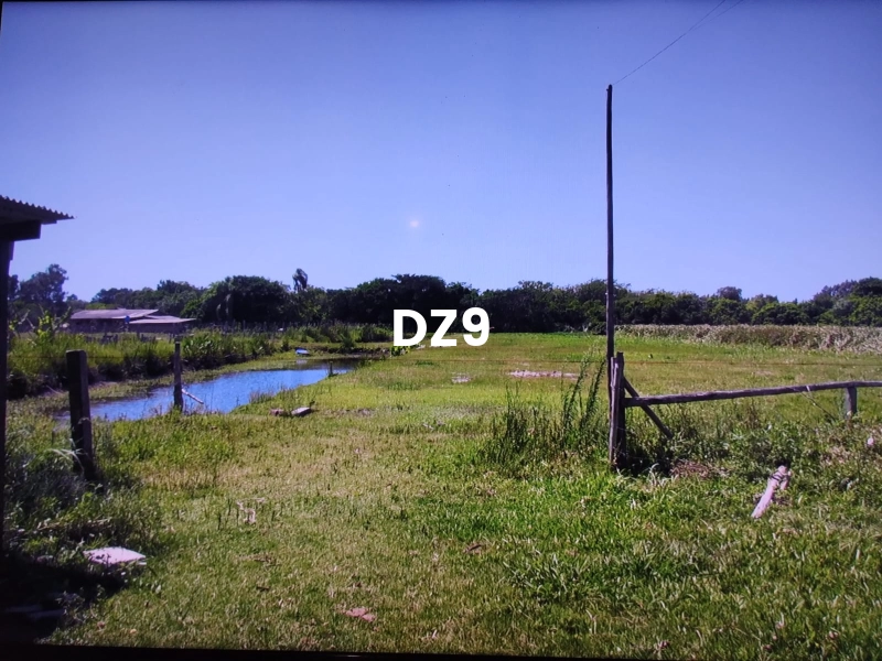 OPORTUNIDADE ÚNICA: CHÁCARA LINDA!: 19ª foto da galeria de imagens do imóvel