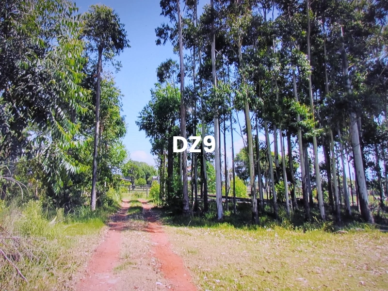 OPORTUNIDADE ÚNICA: CHÁCARA LINDA!: 1ª foto da galeria de imagens do imóvel