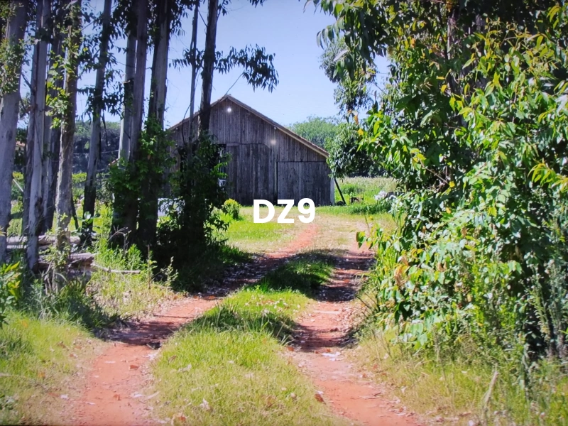 OPORTUNIDADE ÚNICA: CHÁCARA LINDA!: 7ª foto da galeria de imagens do imóvel