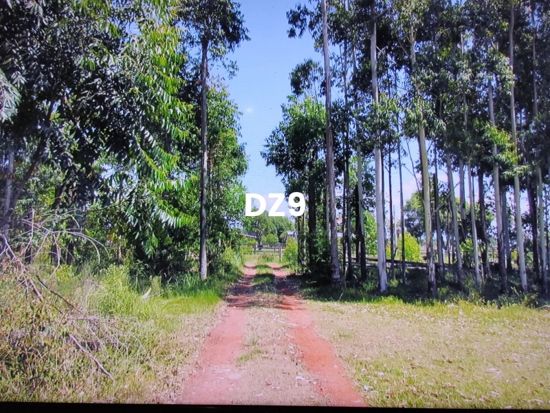 OPORTUNIDADE ÚNICA: CHÁCARA LINDA!: 10ª foto da galeria de imagens do imóvel