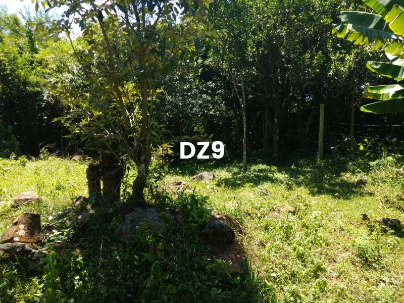 EXCELENTE SÍTIO À VENDA EM ITATI - ROTA DO SOL, KM 23: 7ª foto da galeria de imagens do imóvel