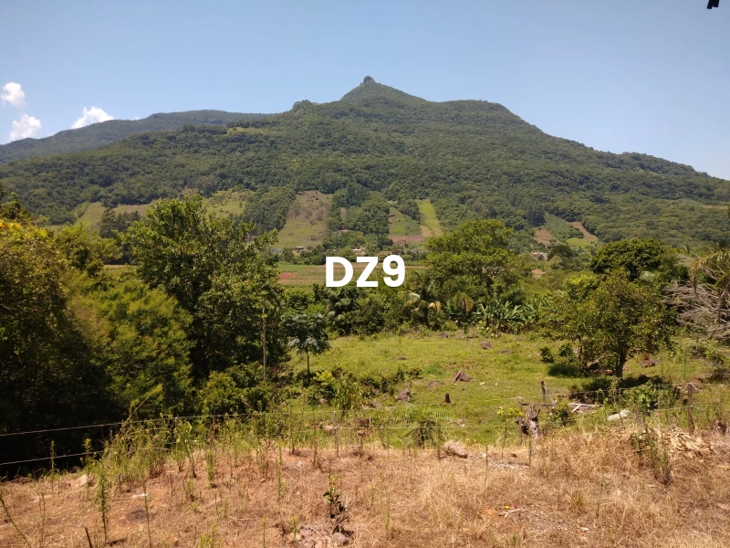 EXCELENTE SÍTIO À VENDA EM ITATI - ROTA DO SOL, KM 23: 13ª foto da galeria de imagens do imóvel