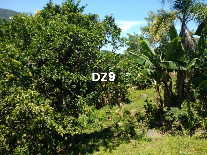 EXCELENTE SÍTIO À VENDA EM ITATI - ROTA DO SOL, KM 23: 5ª foto da galeria de imagens do imóvel