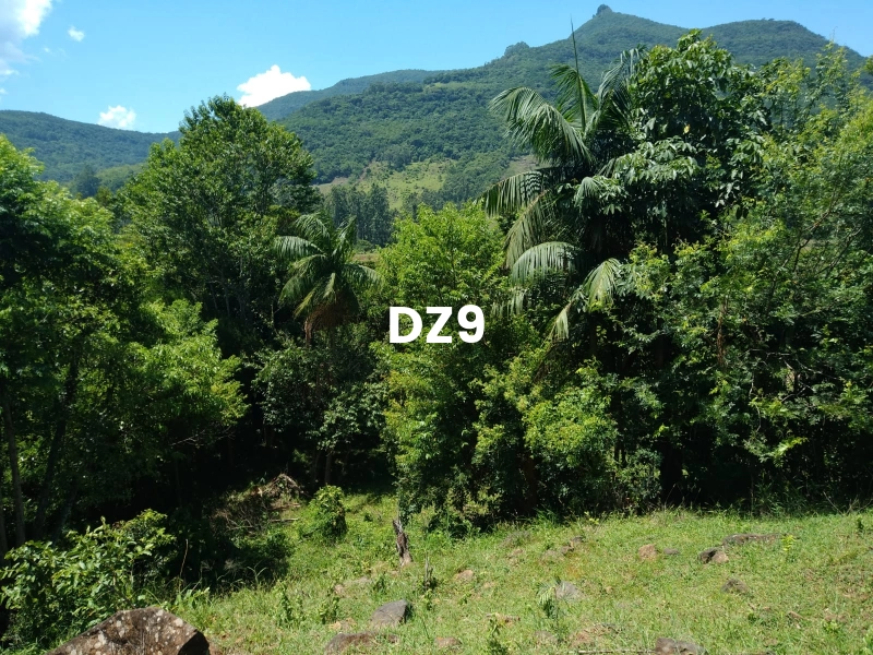 EXCELENTE SÍTIO À VENDA EM ITATI - ROTA DO SOL, KM 23: 4ª foto da galeria de imagens do imóvel