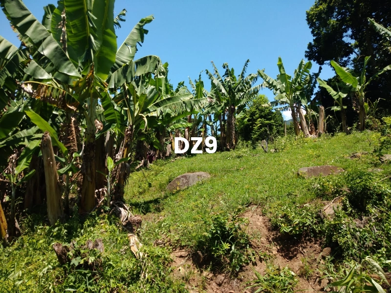 EXCELENTE SÍTIO À VENDA EM ITATI - ROTA DO SOL, KM 23: 6ª foto da galeria de imagens do imóvel