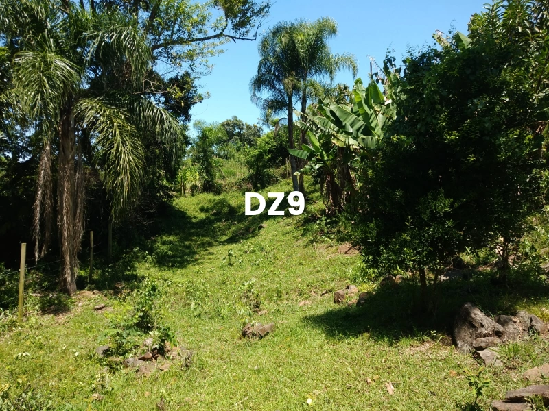 EXCELENTE SÍTIO À VENDA EM ITATI - ROTA DO SOL, KM 23: 8ª foto da galeria de imagens do imóvel