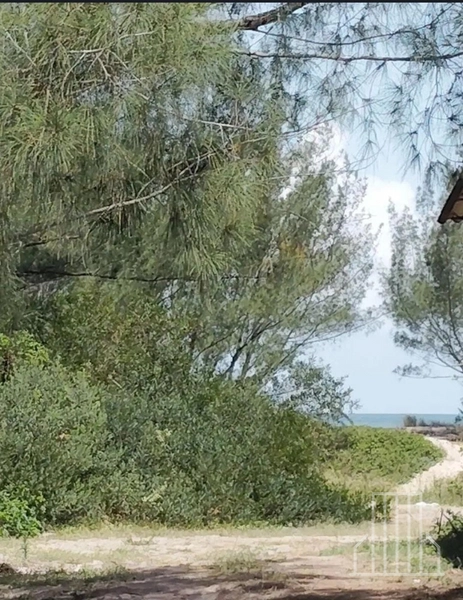 Casa à Venda em Capão Novo!: 12ª foto da galeria de imagens do imóvel