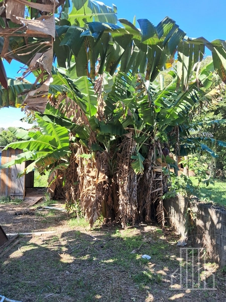 LINDA CHÁCARA EM TERRA DE AREIA: 15ª foto da galeria de imagens do imóvel