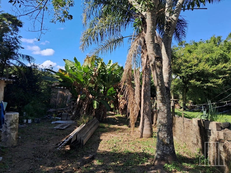 LINDA CHÁCARA EM TERRA DE AREIA: 14ª foto da galeria de imagens do imóvel