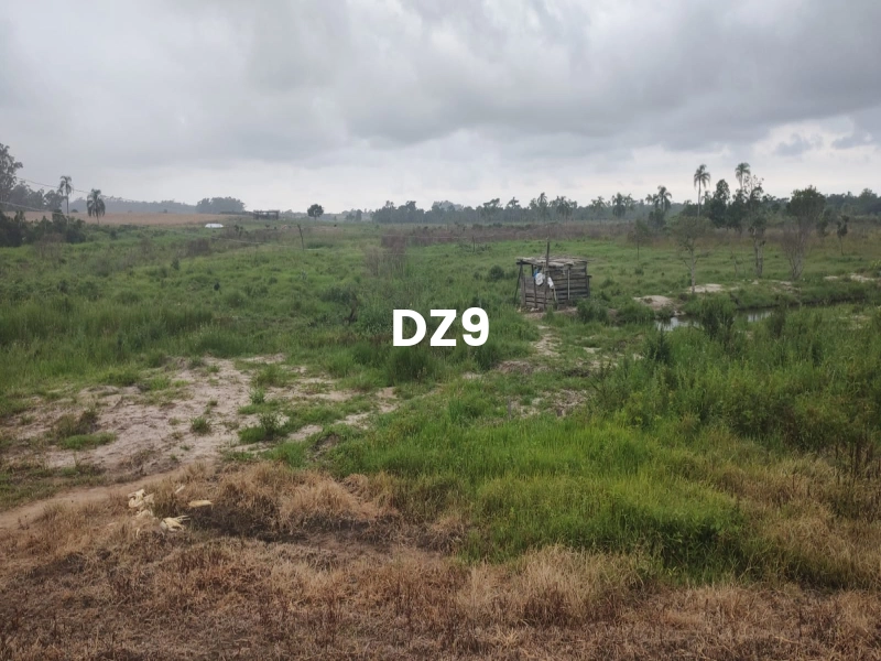 FASCINANTE SÍTIO COM NASCENTE, AÇUDE E PLANTAÇÕES EM TERRA DE AREIA: 4ª foto da galeria de imagens do imóvel