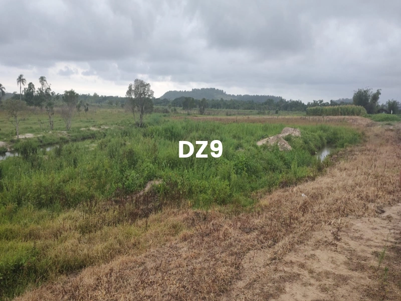 FASCINANTE SÍTIO COM NASCENTE, AÇUDE E PLANTAÇÕES EM TERRA DE AREIA: 5ª foto da galeria de imagens do imóvel