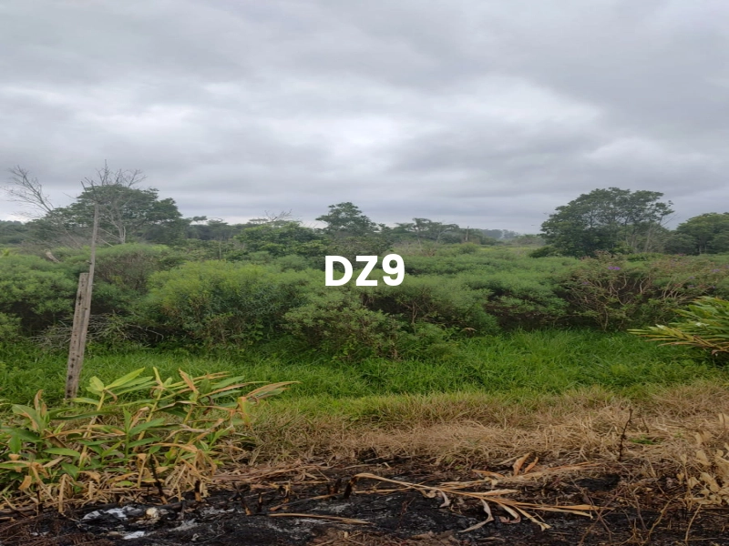 FASCINANTE SÍTIO COM NASCENTE, AÇUDE E PLANTAÇÕES EM TERRA DE AREIA: 3ª foto da galeria de imagens do imóvel