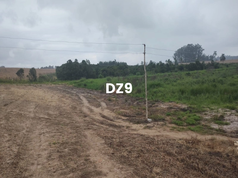 FASCINANTE SÍTIO COM NASCENTE, AÇUDE E PLANTAÇÕES EM TERRA DE AREIA: 8ª foto da galeria de imagens do imóvel