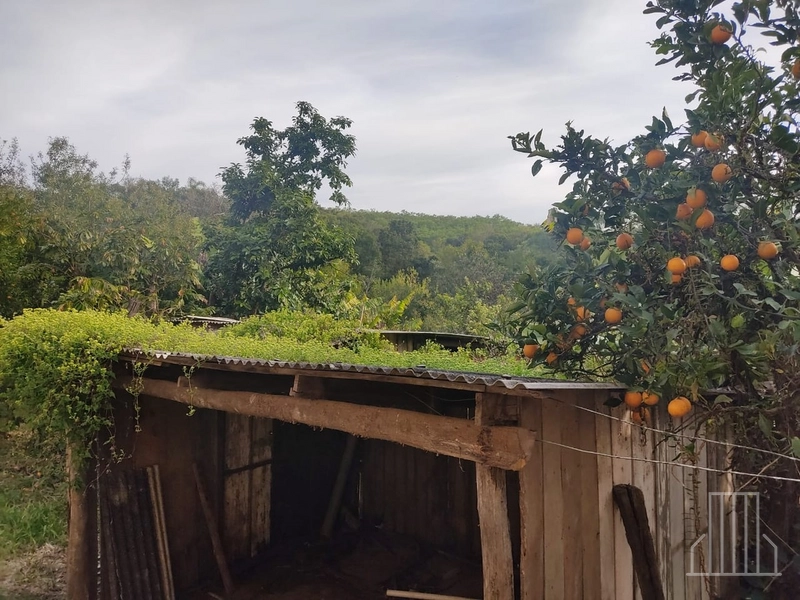 ENCANTADOR SÍTIO À VENDA NO MUNICÍPIO DE CARAÁ: 7ª foto da galeria de imagens do imóvel