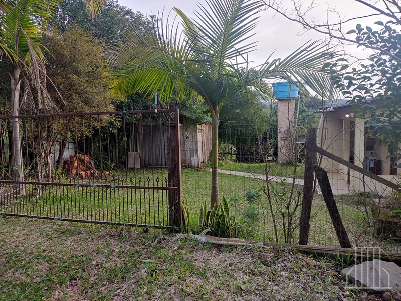 ENCANTADOR SÍTIO À VENDA NO MUNICÍPIO DE CARAÁ: 4ª foto da galeria de imagens do imóvel