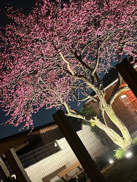 CASA À VENDA: 4ª foto da galeria de imagens do imóvel