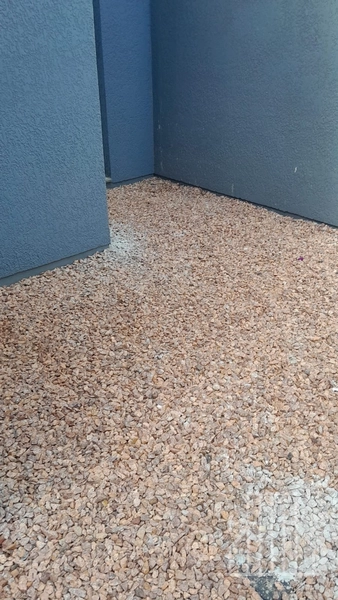 LINDA CASA GEMINADA NO BAIRRO GUARANI EM CAPÃO DA CANOA!: 11ª foto da galeria de imagens do imóvel