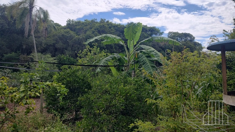 LINDA CHÁCARA LOCALIZADA NO BAIRRO FAXINAL DO MORRO ALTO, EM MAQUINÉ!: 32ª foto da galeria de imagens do imóvel