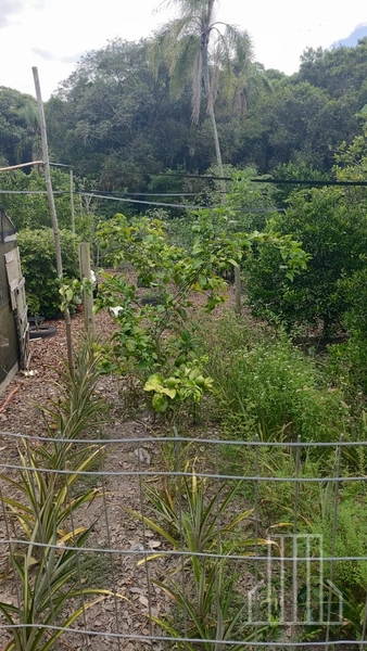 LINDA CHÁCARA LOCALIZADA NO BAIRRO FAXINAL DO MORRO ALTO, EM MAQUINÉ!: 33ª foto da galeria de imagens do imóvel