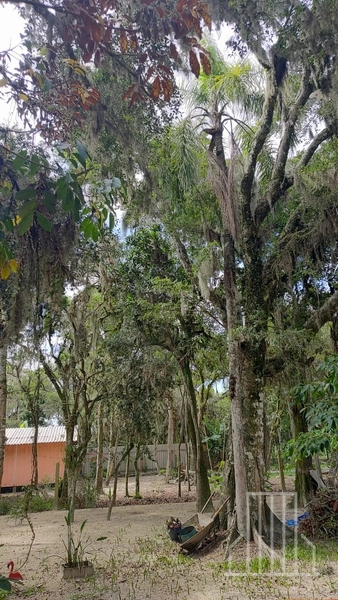 LINDA CHÁCARA LOCALIZADA NO BAIRRO FAXINAL DO MORRO ALTO, EM MAQUINÉ!: 2ª foto da galeria de imagens do imóvel