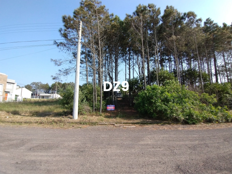 LOTE 6X25: 5ª foto da galeria de imagens do imóvel