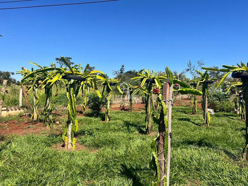 Linda Chácara 2500m² a venda próximo a Uberlândia: 13ª foto da galeria de imagens do imóvel