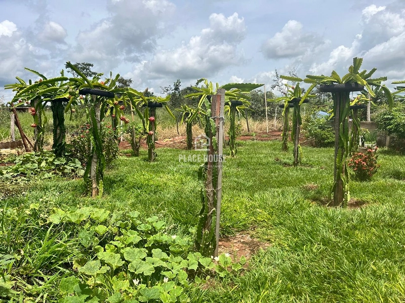 Linda Chácara 2500m² a venda próximo a Uberlândia: 5ª foto da galeria de imagens do imóvel