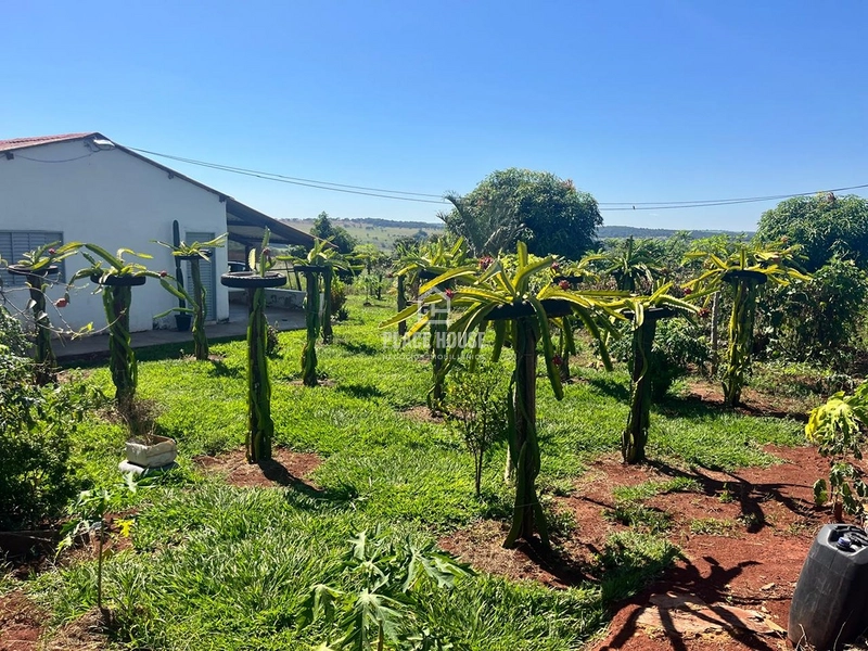 Linda Chácara 2500m² a venda próximo a Uberlândia: 3ª foto da galeria de imagens do imóvel