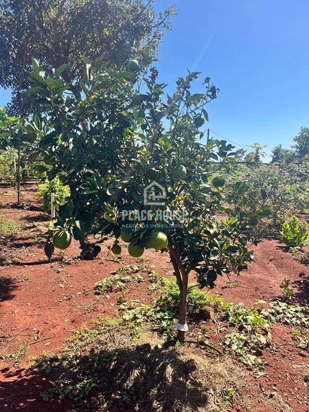 Linda Chácara 2500m² a venda próximo a Uberlândia: 11ª foto da galeria de imagens do imóvel