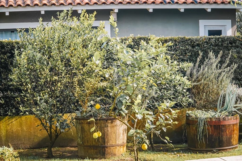 null: 5ª foto da galeria de imagens do imóvel