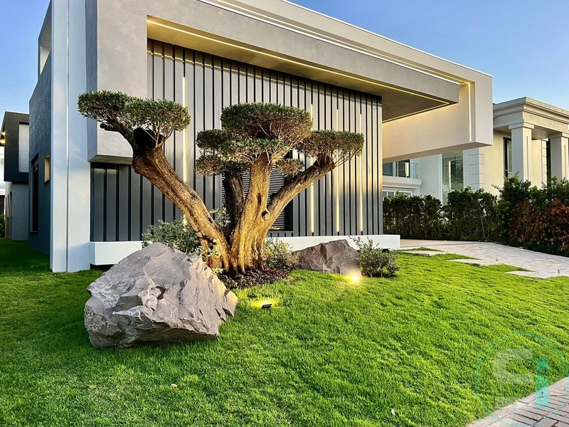 null: 5ª foto da galeria de imagens do imóvel