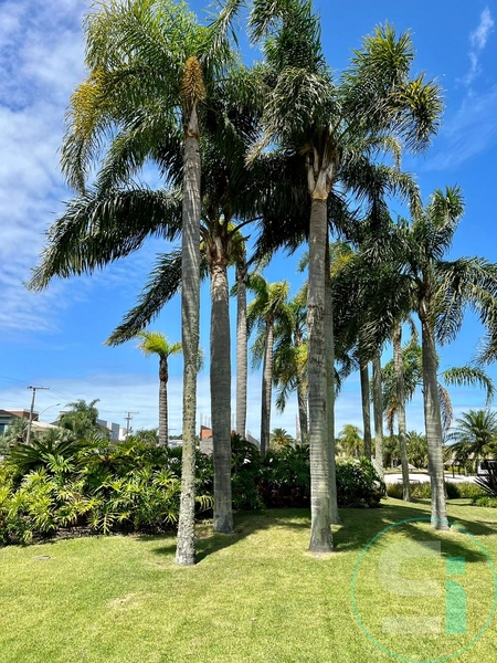 null: 30ª foto da galeria de imagens do imóvel